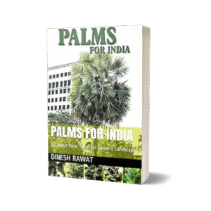 PALMS FOR INDIA: All about Palm Trees for Home & Landscape.