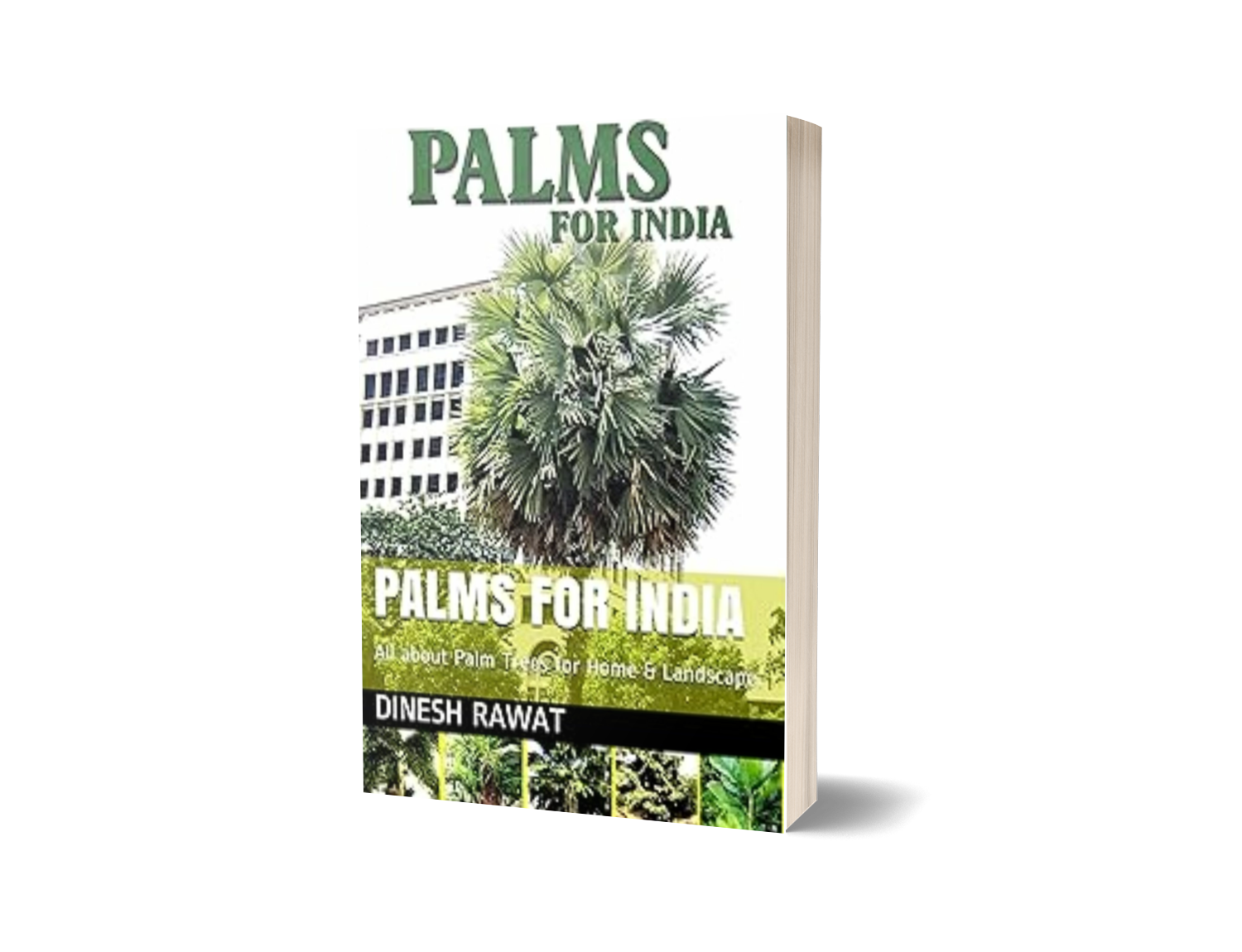 PALMS FOR INDIA: All about Palm Trees for Home & Landscape.