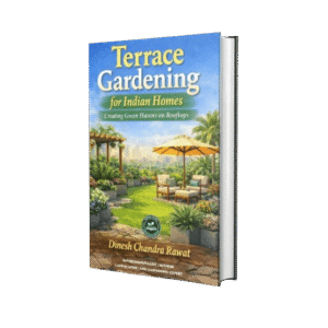 Terrace Gardening for Indian Homes