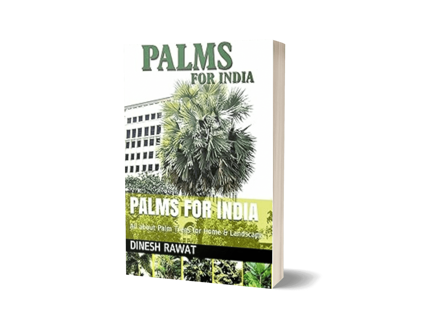 PALMS FOR INDIA: All about Palm Trees for Home & Landscape.